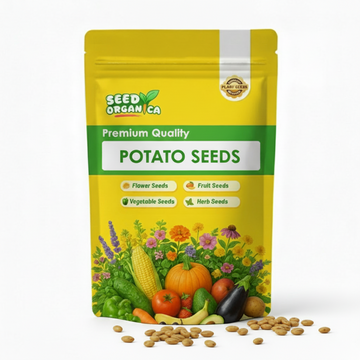 Potato Seeds