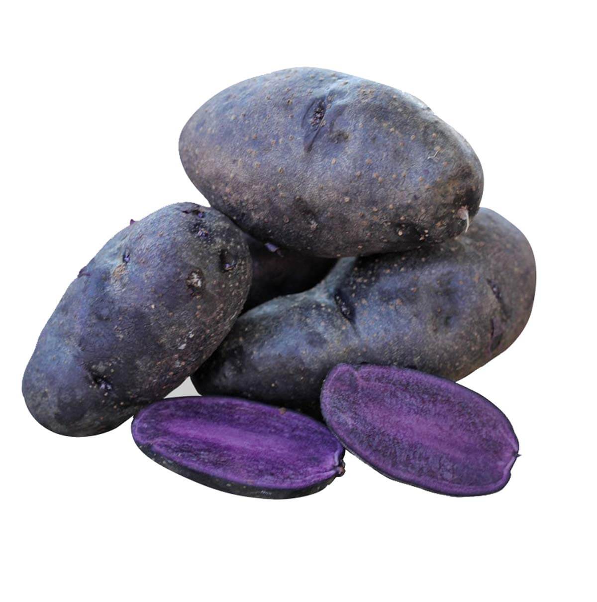 Potato Seeds – Purple