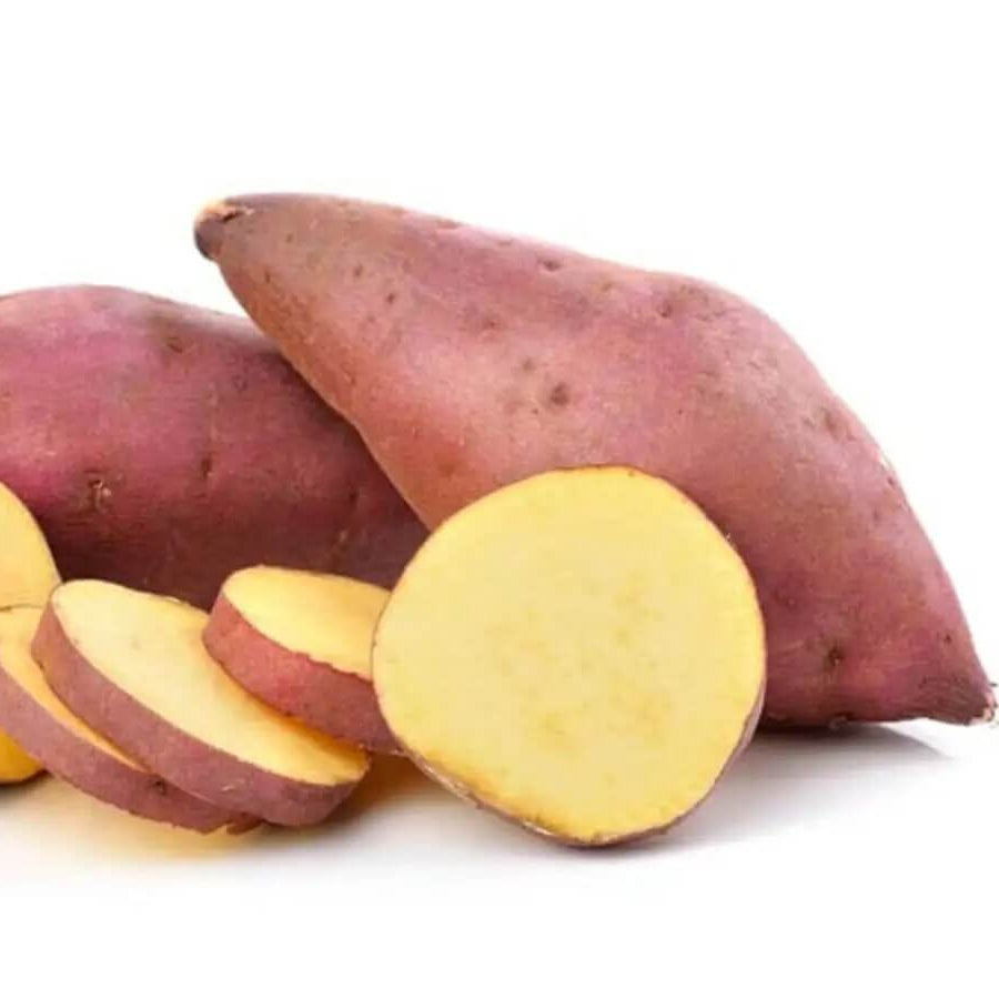Potato Seeds - Pink Batatas