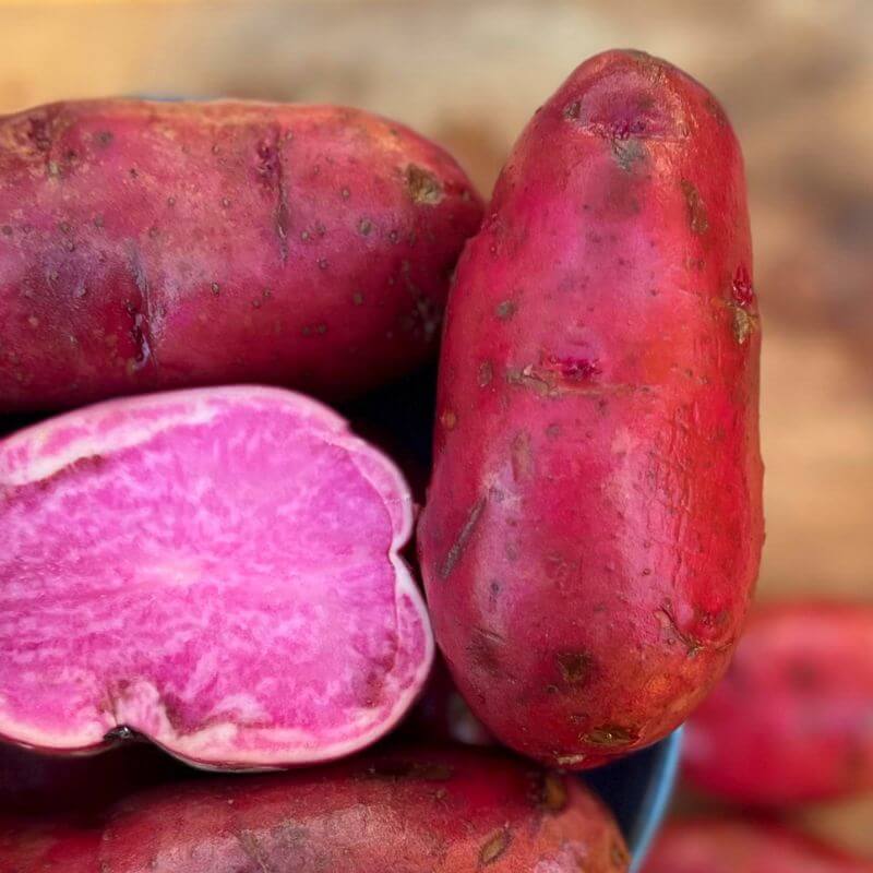 Potato Seeds - Pink Purple 