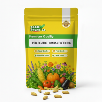 Potato Seeds -  Banana Fingerling