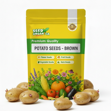 Potato Seeds - Brown