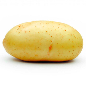 Potato Seeds - Light Yellow