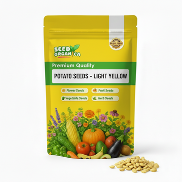 Potato Seeds - Light Yellow