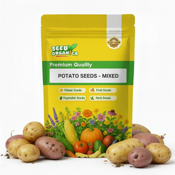 Potato Seeds - Mixed