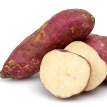 Potato Seeds - Pink Batatas