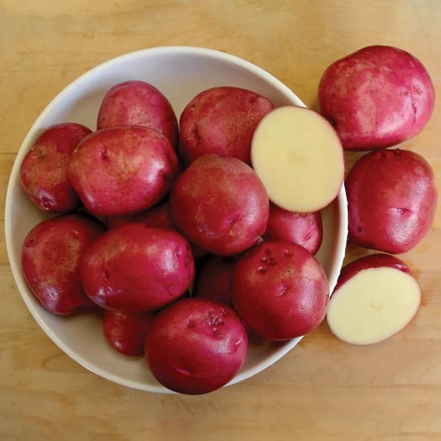 Potato Seeds – Dark Pink