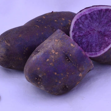 Potato Seeds – Purple