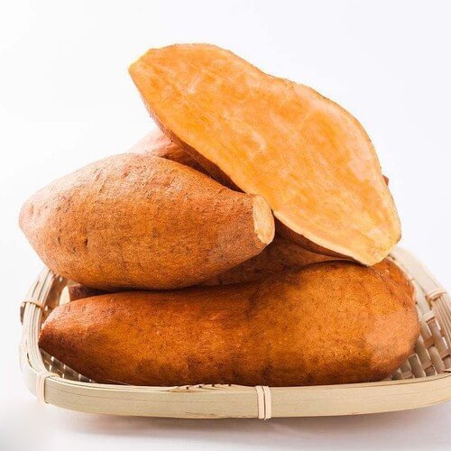 Potato Seeds – Yellow Batatas 