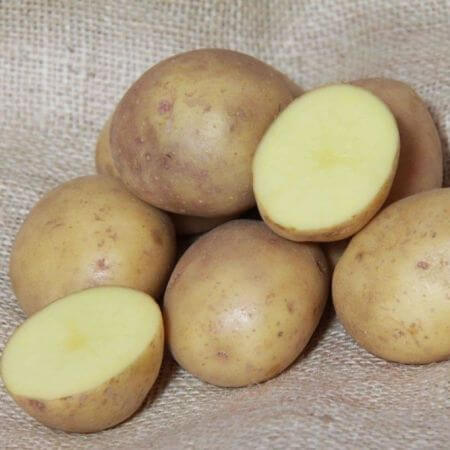 Potato Seeds - Light Yellow