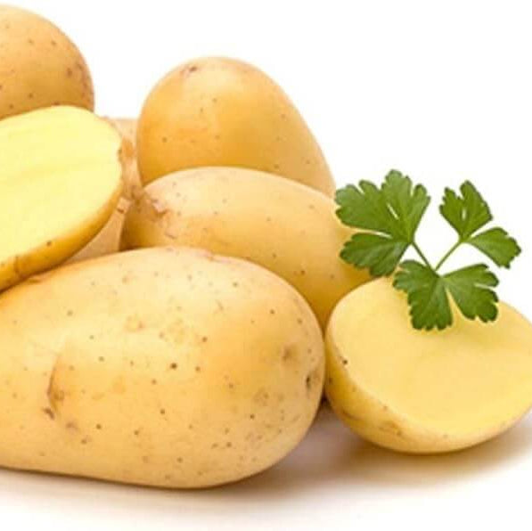 Potato Seeds - Yellow