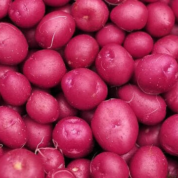 Potato Seeds – Dark Pink