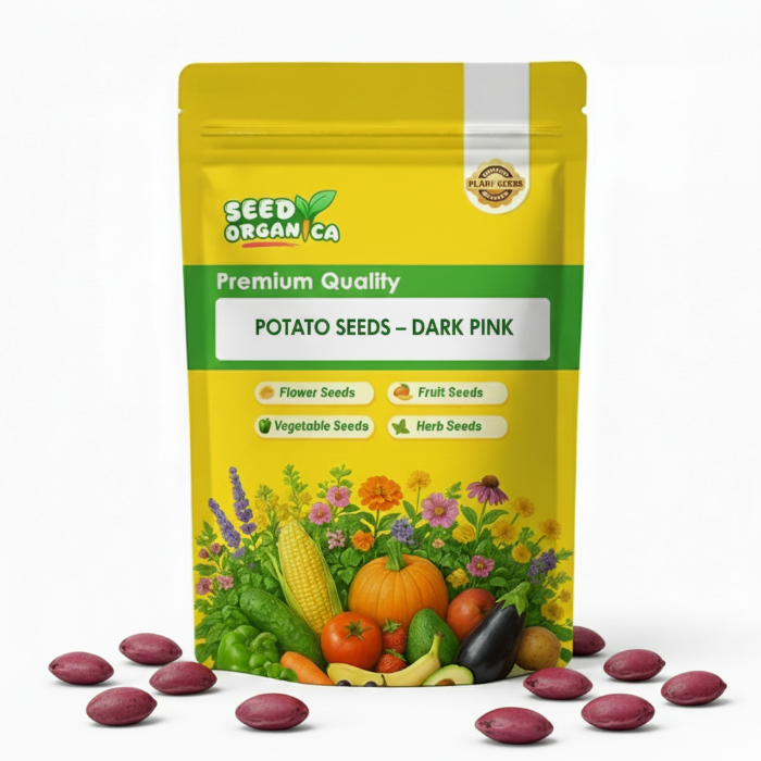 Potato Seeds – Dark Pink