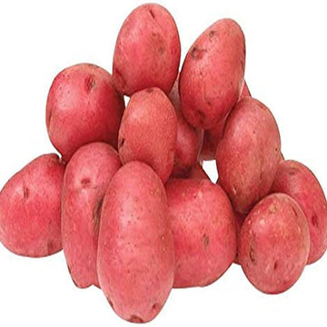 Potato Seeds – Red