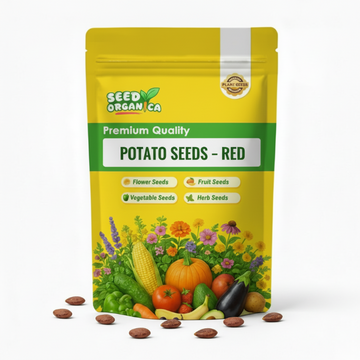Potato Seeds – Red