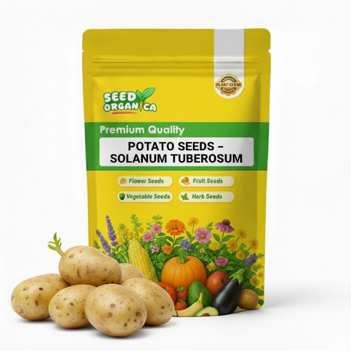 Potato Seeds – Solanum tuberosum
