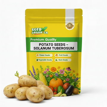 Potato Seeds – Solanum tuberosum