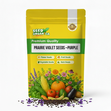 Prairie Violet Seeds –Purple