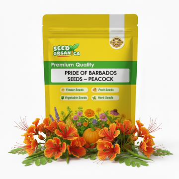 Pride of Barbados  Seeds – peacock