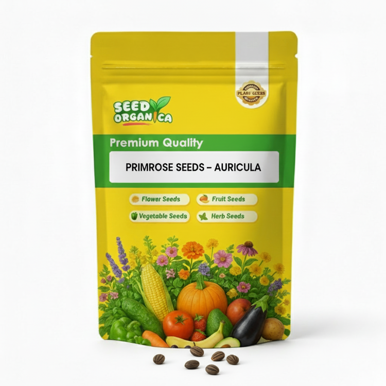 Primrose Seeds – Auricula