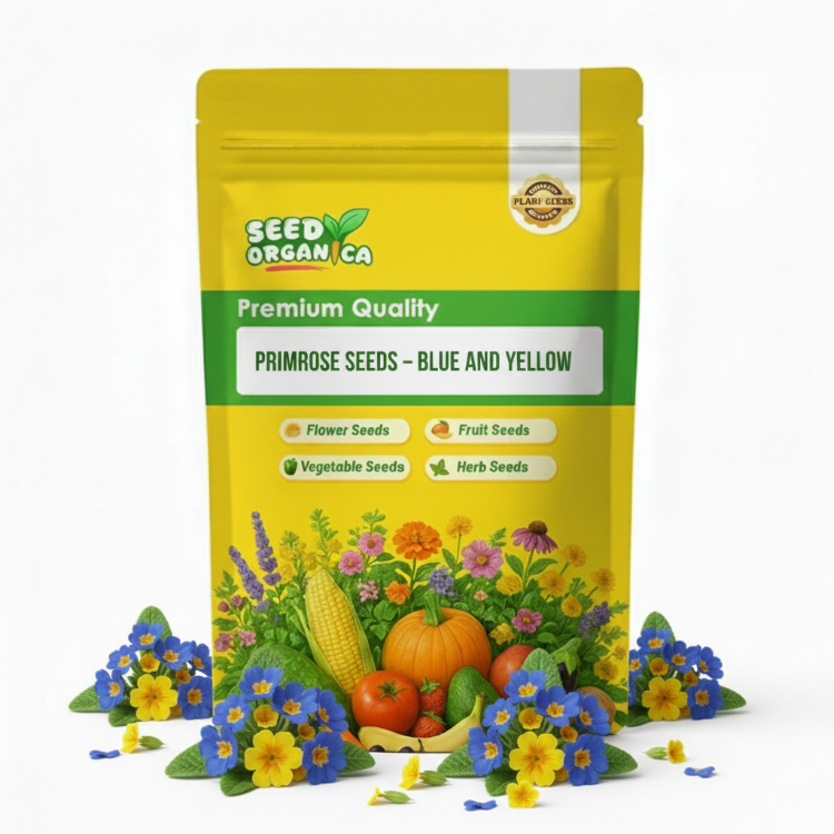 Primrose Seeds – Blue and Yellow