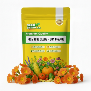 Primrose Seeds – Sun Orange