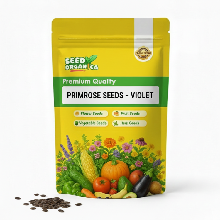 Primrose Seeds – Violet
