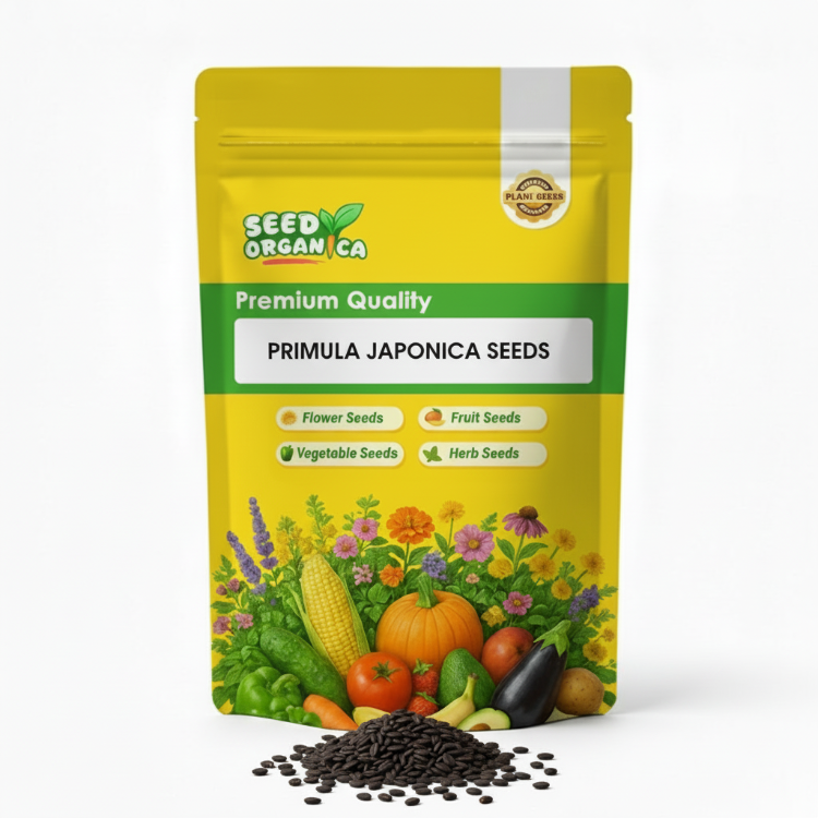 Primula Japonica Seeds