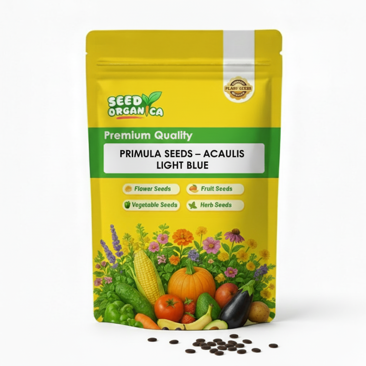 Primula Seeds – Acaulis Light Blue