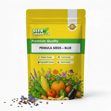 Primula Seeds – Blue