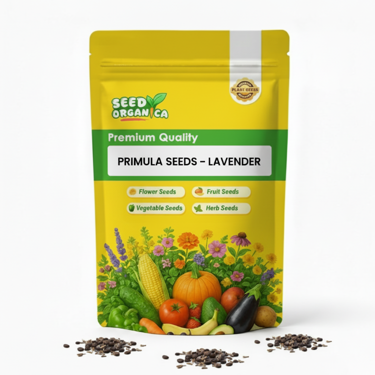 Primula Seeds – Lavender