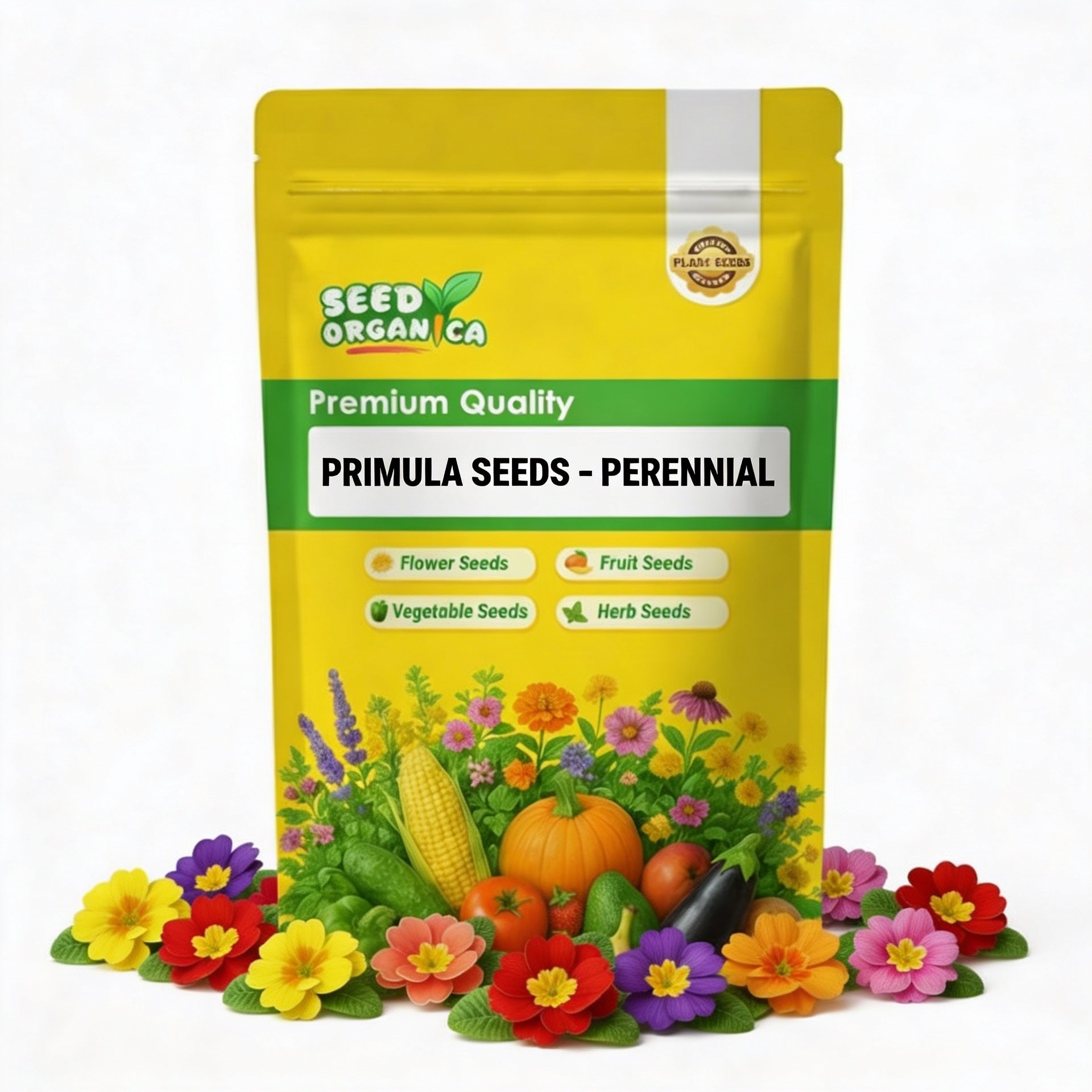 Perennial Primula Seeds | Garden Flower Seeds