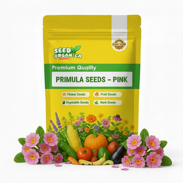 Primula Seeds – Pink