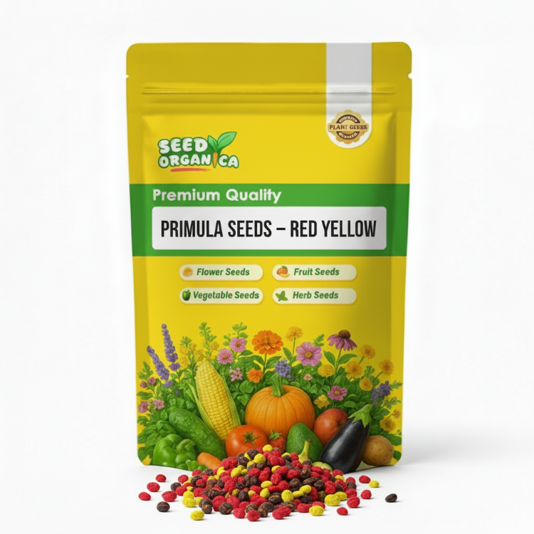 Primula Seeds – Red Yellow