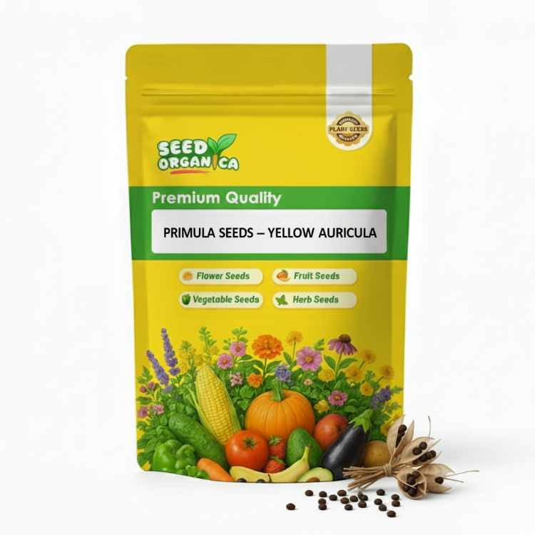 Primula Seeds – Yellow Auricula