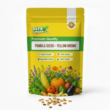 Primula Seeds – Yellow Brown