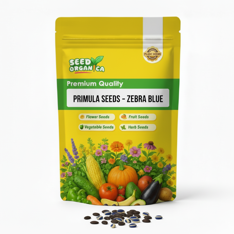 Primula Seeds – Zebra Blue