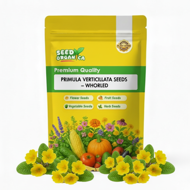 Primula Verticillata Seeds – Whorled