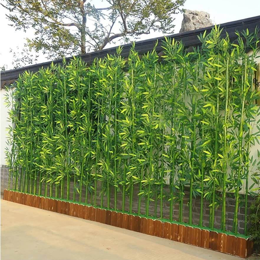 Privacy Bamboo Seeds