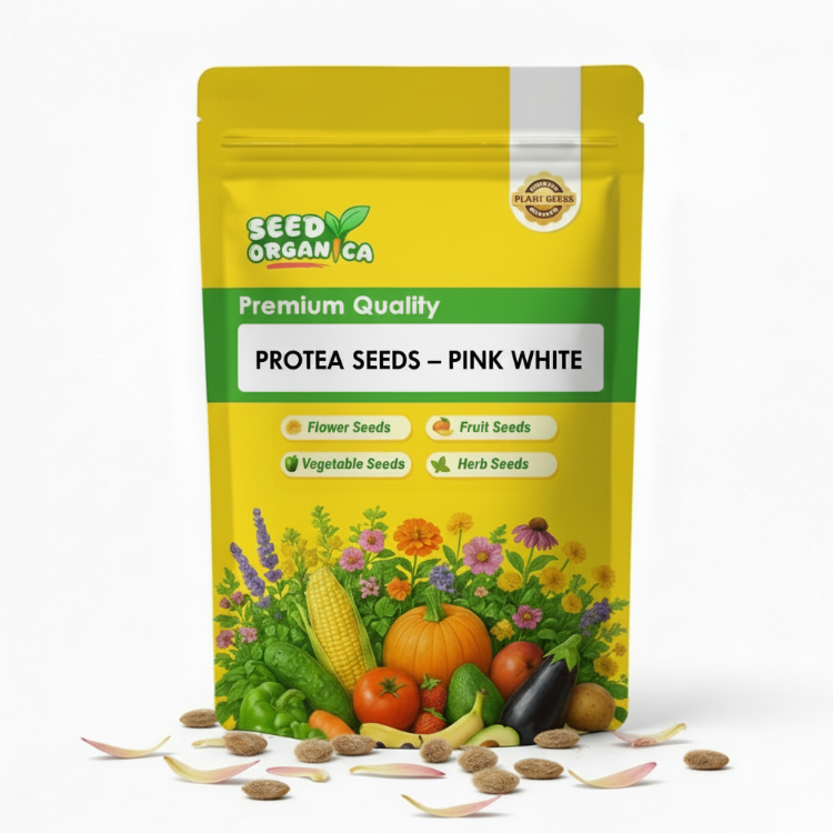 Protea Seeds – Pink White