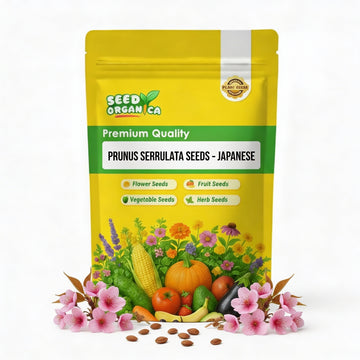 Prunus serrulata Seeds – Japanese
