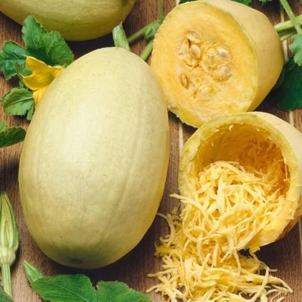Pumpkin Seeds – Almond Spaghetti