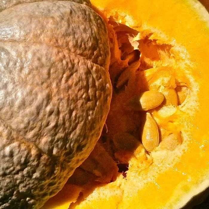 Pumpkin Seeds – Brown