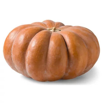 Pumpkin Seeds – Fairytale