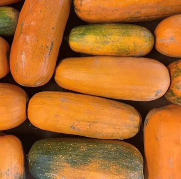 Pumpkin Seeds – Long Pie