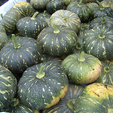 Pumpkin Seeds – Rican 