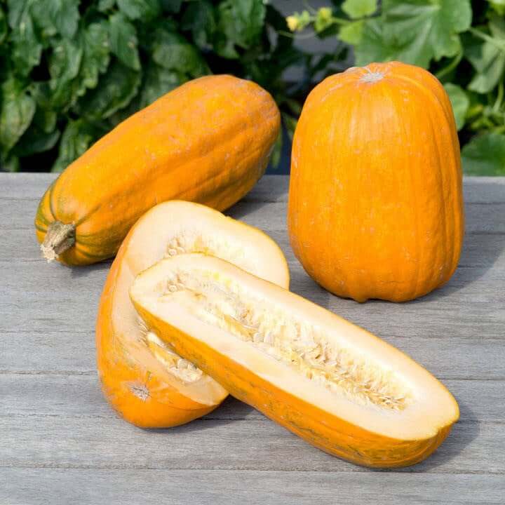 Pumpkin Seeds – Long Pie