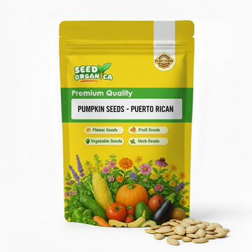 Pumpkin Seeds - Puerto Rican
