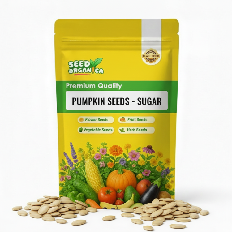 Pumpkin Seeds - Sugar