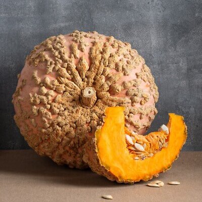 Pumpkin Seeds – Brown